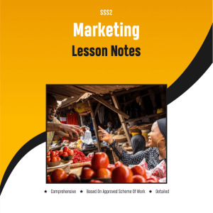 sss2-marketing-lesson-notes